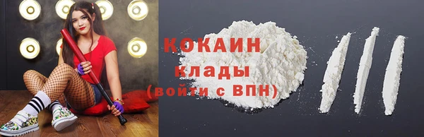 2c-b Инта