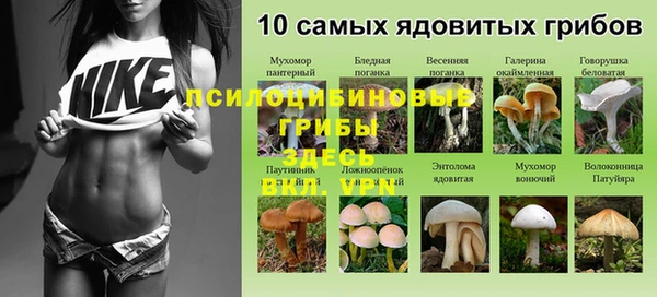 экстази Зеленокумск