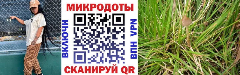 Галлюциногенные грибы мицелий  Купить  Кондопога 